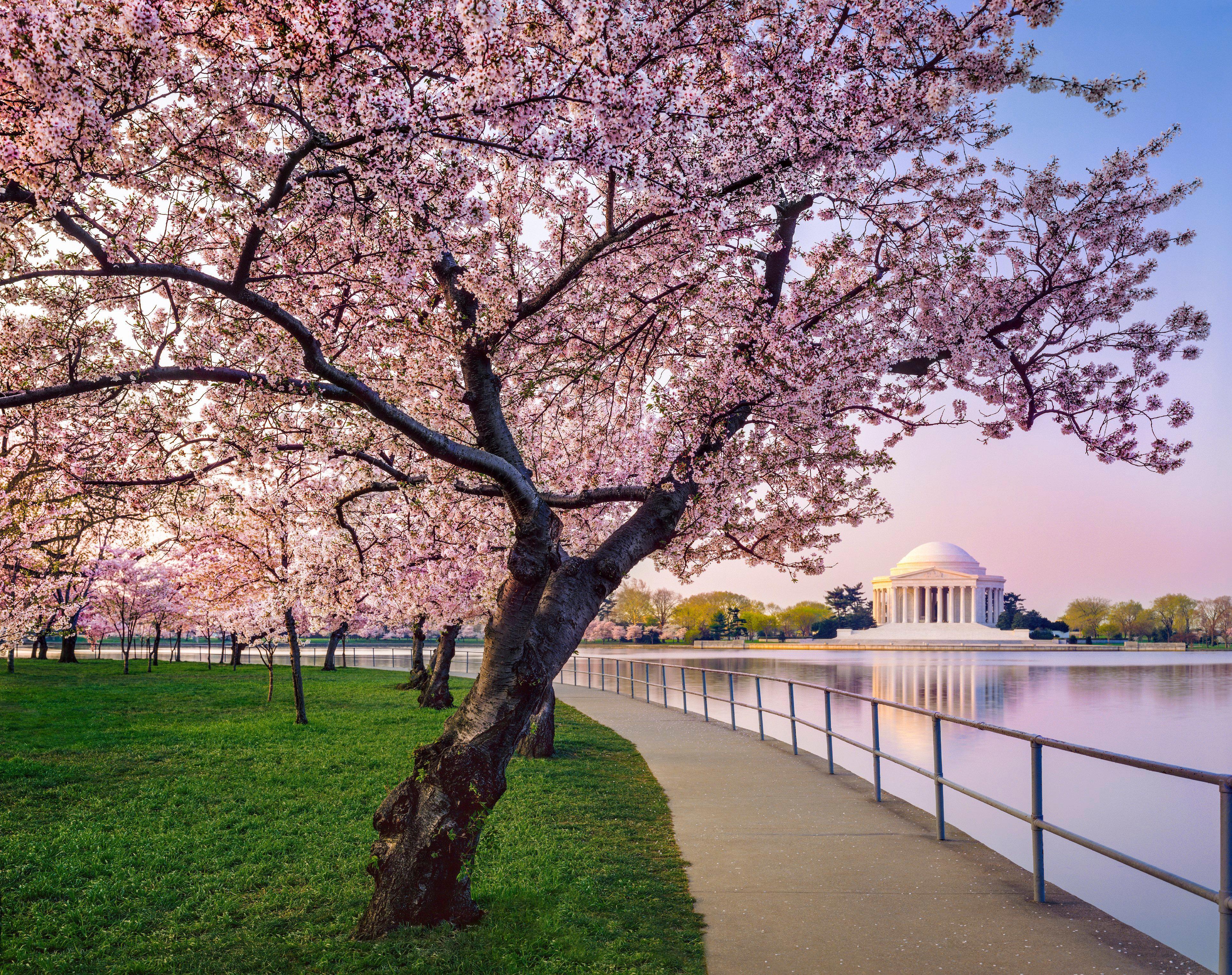 Kimpton Monaco Dc By Ihg Washington